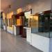 Apri Galleria Immagini